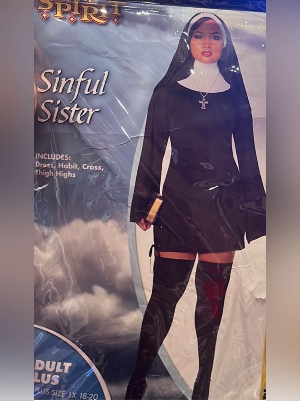 Spirit Sinful sister costume